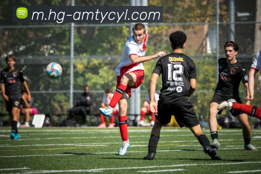 澳门太阳城网站发展历程